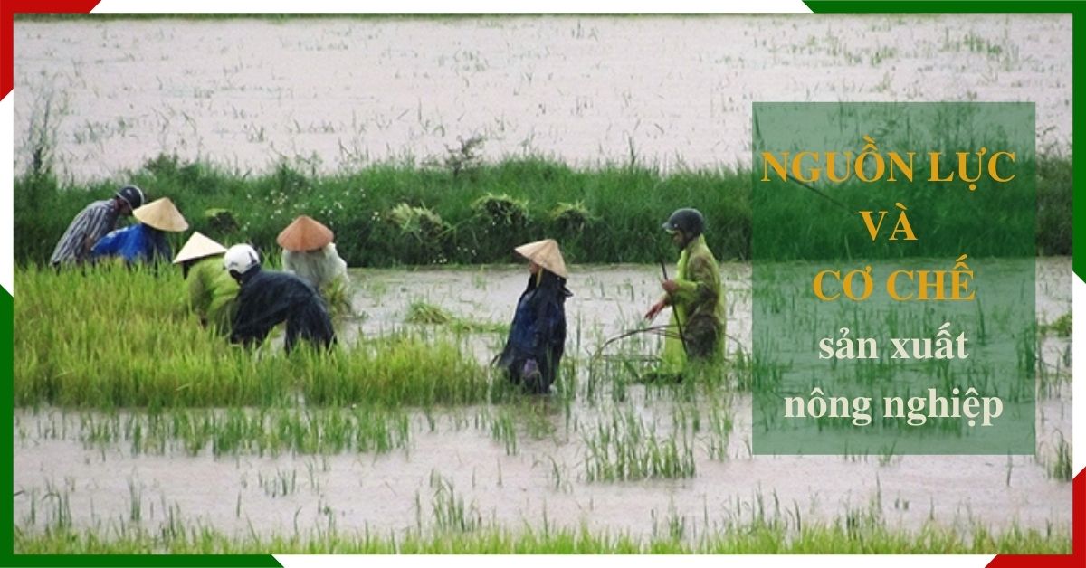 Nguồn lực và cơ chế hỗ trợ sản xuất nông nghiệp bị thiệt hại từ TW