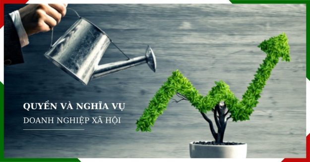 Doanh nghiệp xã hội có quyền và nghĩa vụ như thế nào?